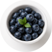 Bilberry Fruit Extract